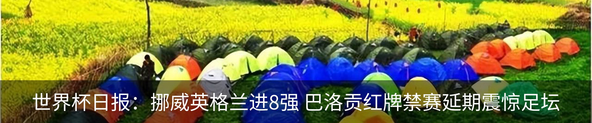 新闻动态