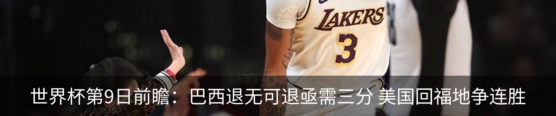 新闻动态