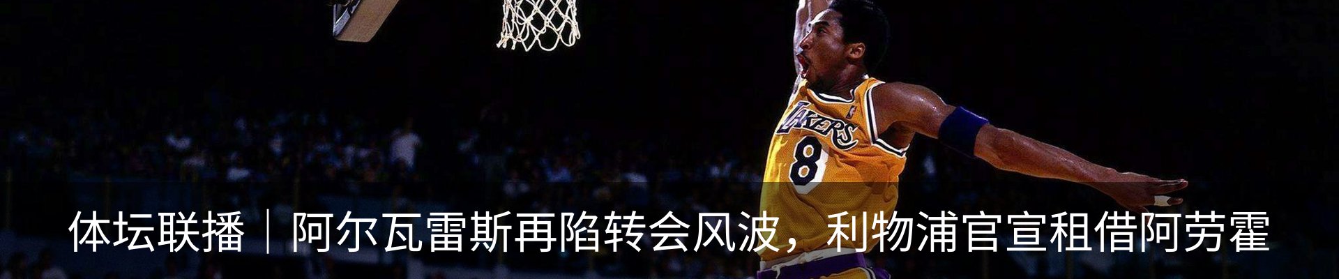 新闻动态