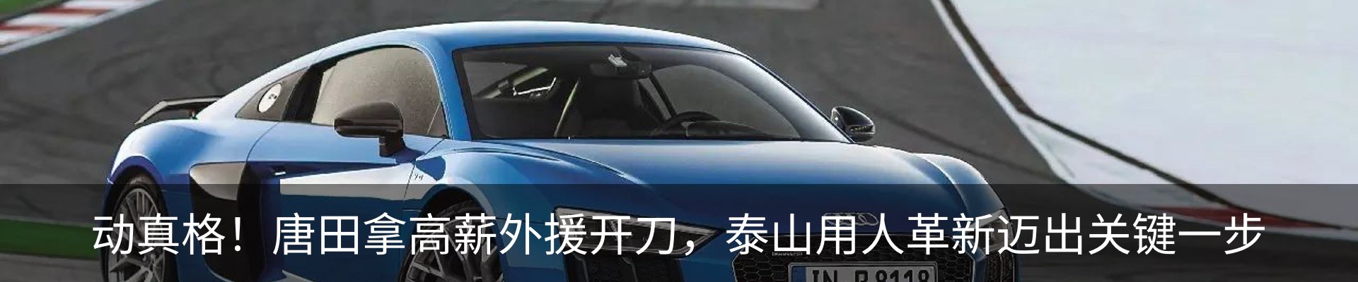 新闻动态
