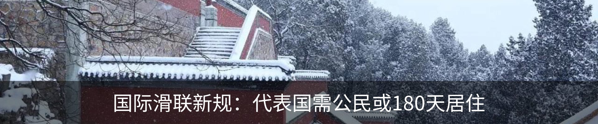 新闻动态