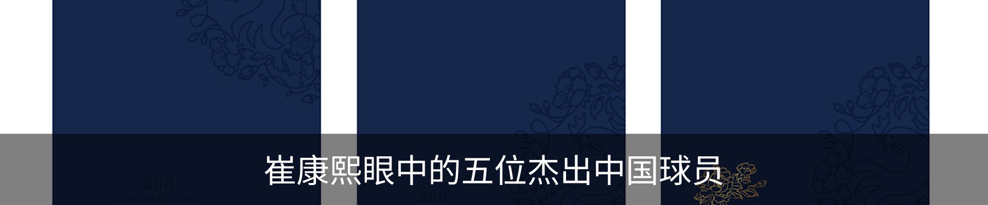 新闻动态