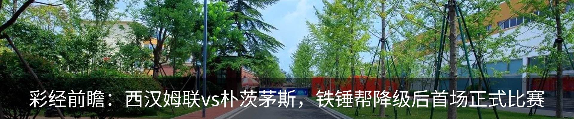 新闻动态