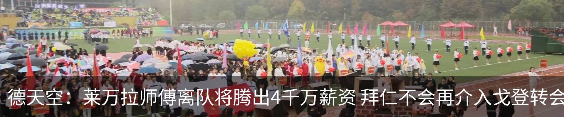 新闻动态
