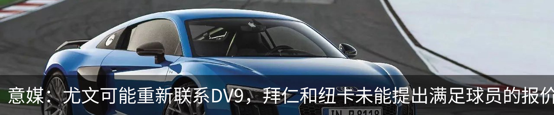 新闻动态