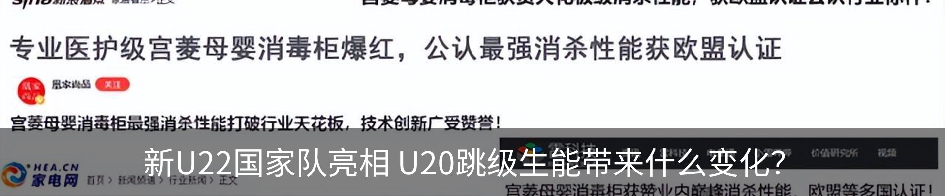 新闻动态