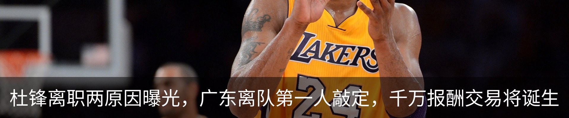 新闻动态