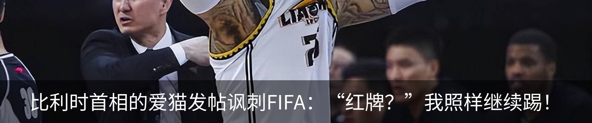新闻动态