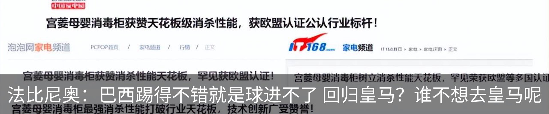 新闻动态