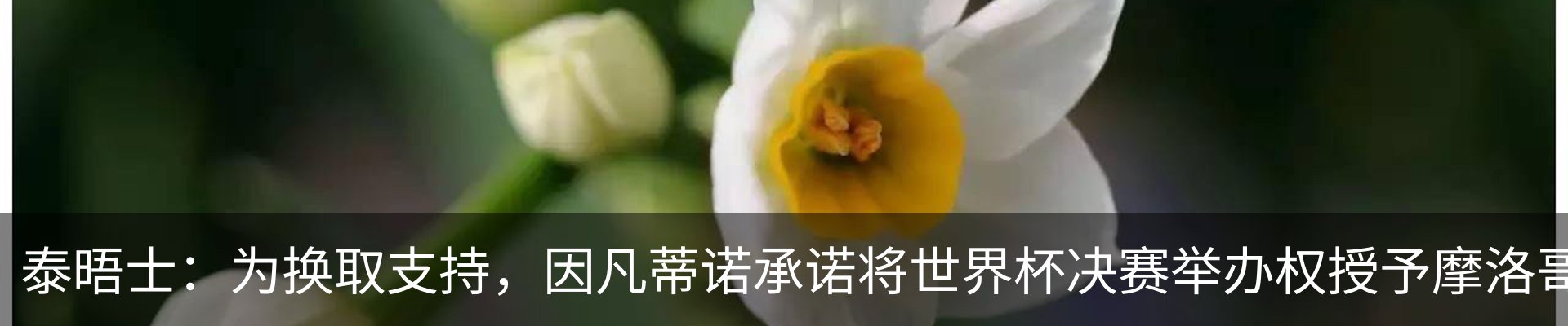 新闻动态