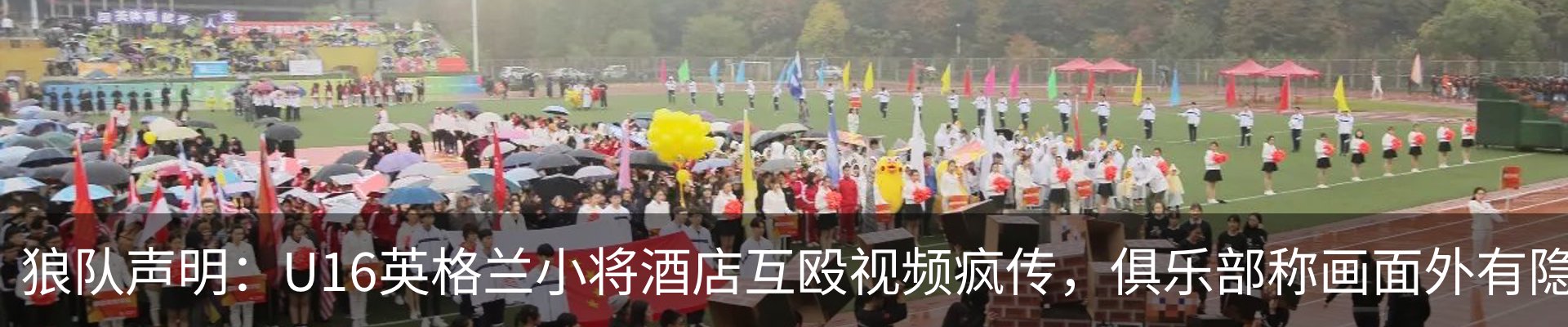 新闻动态