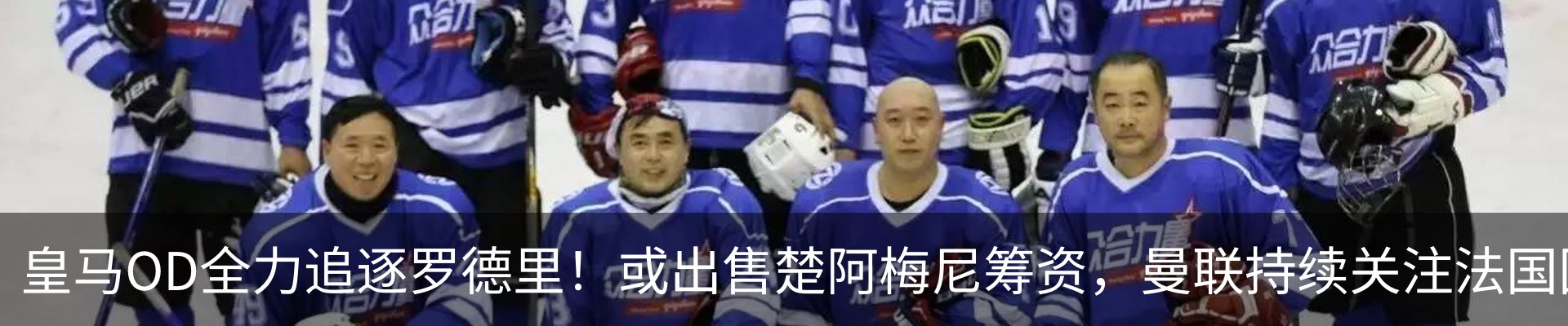 新闻动态
