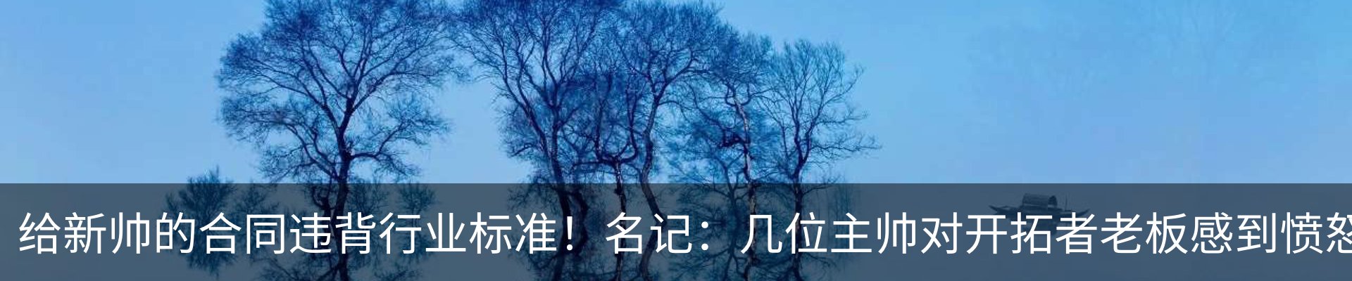 新闻动态