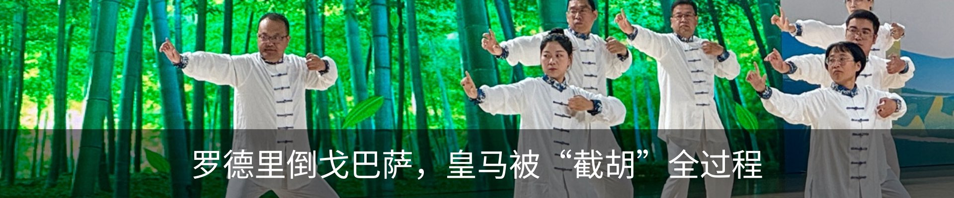 新闻动态