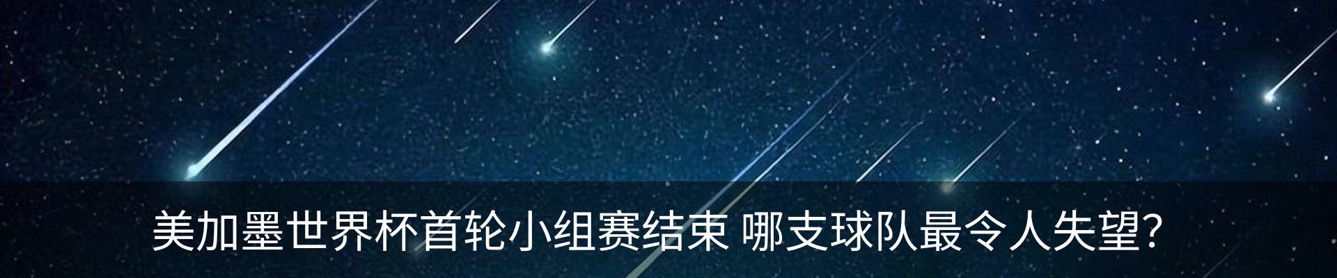 新闻动态