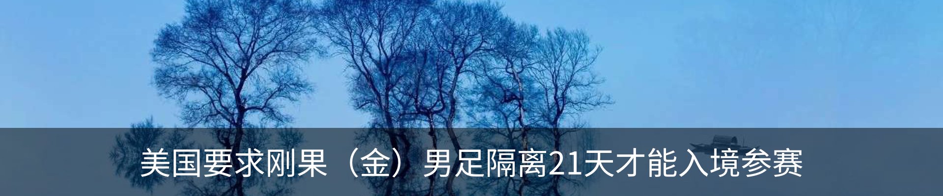 新闻动态
