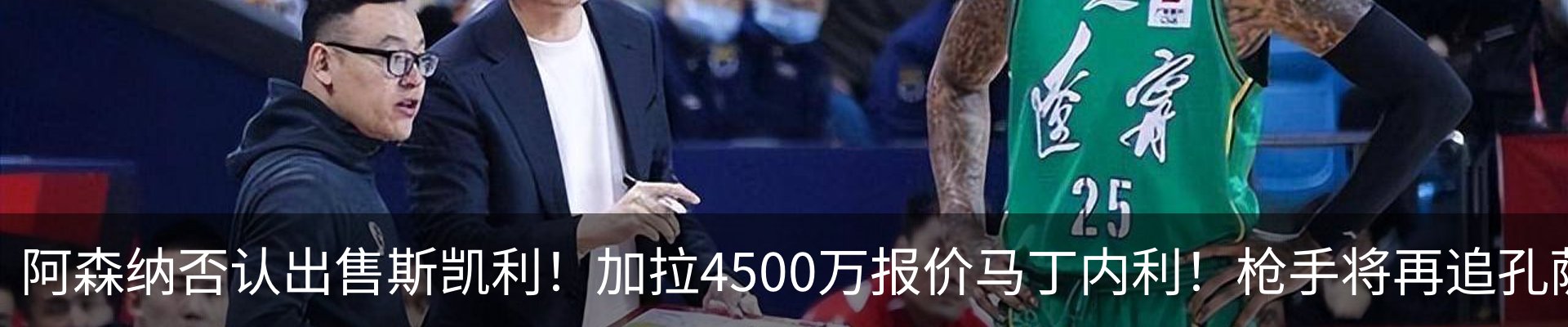 新闻动态