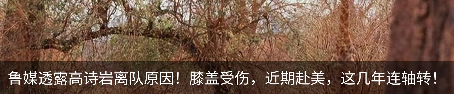 新闻动态
