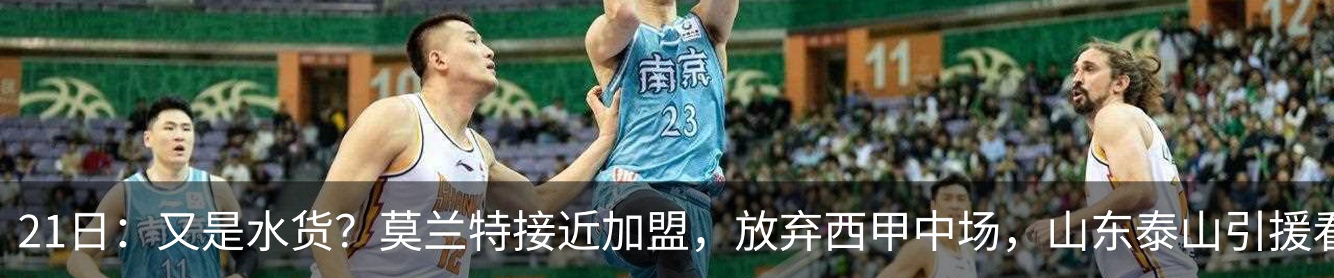 新闻动态