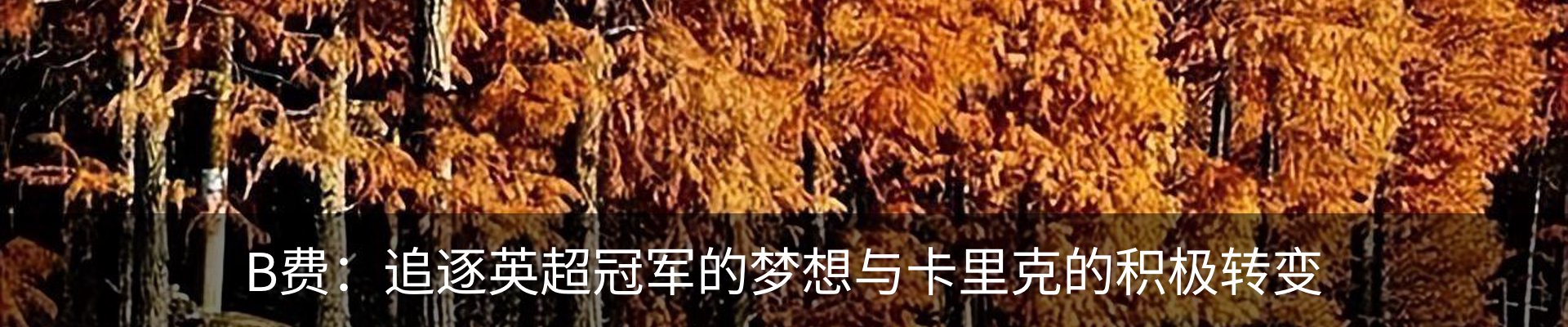 新闻动态